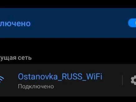 Источник: Ксения Сухоленко / 161.RU