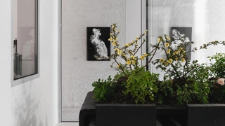 Пять флористических трендов, развитие которых мы точно увидим в 2025 году