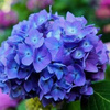 userpic__Людмила