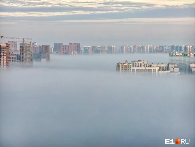 Источник: читатель E1.RU