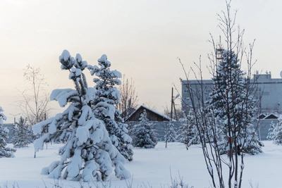 Погода в Алтайском крае в феврале: прогнозы сервисов