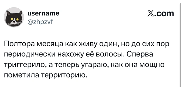 Источник: X (Twitter)