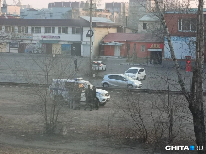 Местные жители неоднократно вызывали полицию | Источник: очевидец