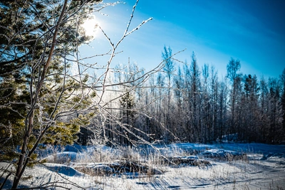 МЧС Забайкалья предупреждает о морозах до -48°C