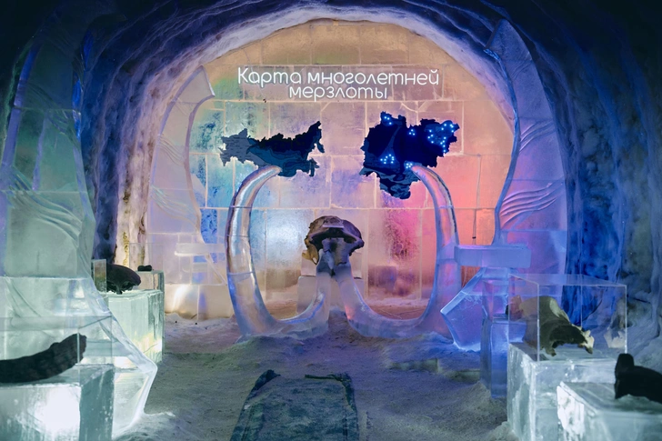Постоянная температура в «Царстве вечной мерзлоты» — 10 градусов