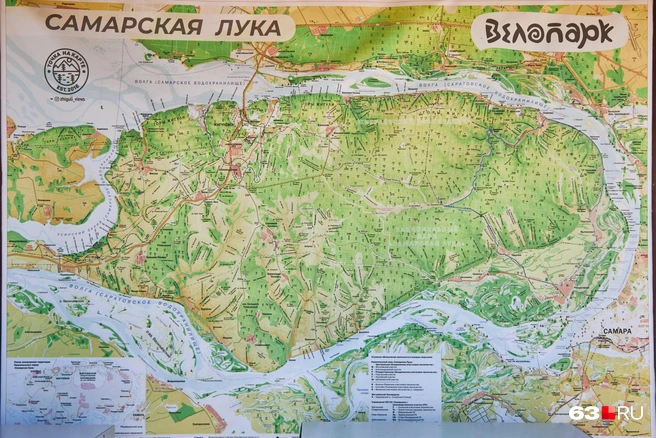 Лука необъятная | Источник: Роман Данилкин / 63.RU