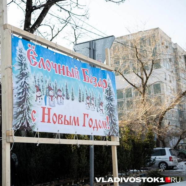 Источник: Елена Буйвол / VLADIVOSTOK1.RU