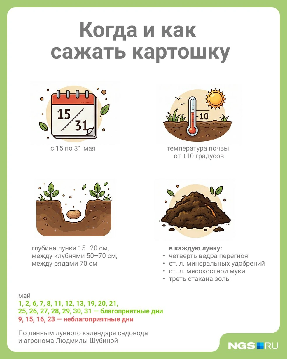 Источник: Юрий Орлов / Городские медиа