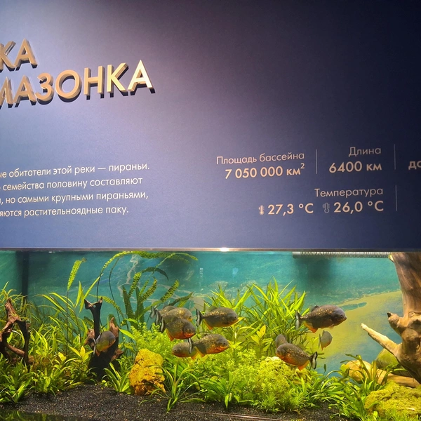 Источник: Виктория Пастухова