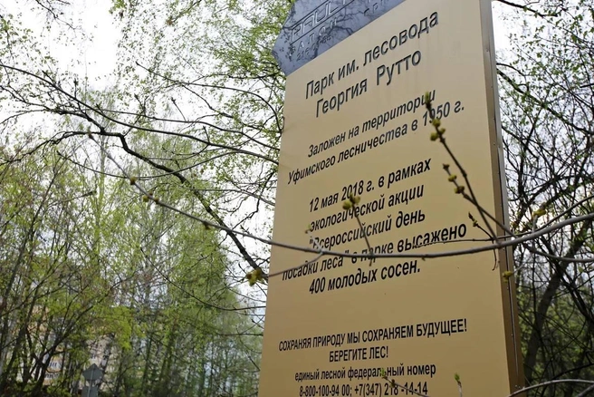В парке | Источник: Ратмир Мавлиев / t.me