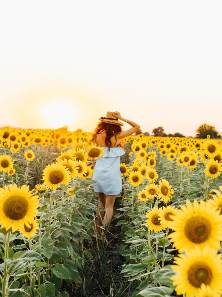 Источник: Ольга Найда/Unsplash