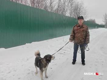 Он же выгуливает Умку вдоль ограждения | Источник: Михаил Мечев / MSK1.RU