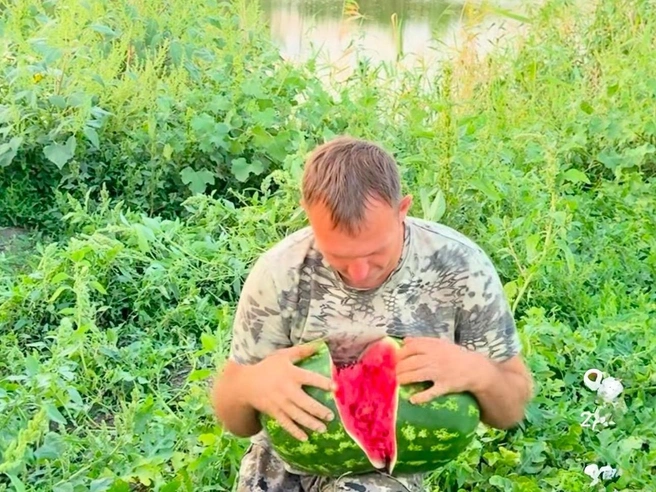 Вырастить арбуз на дачном участке вполне реально. | Источник: Николай Злыднев