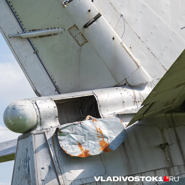 Источник: Елена Буйвол / VLADIVOSTOK1.RU