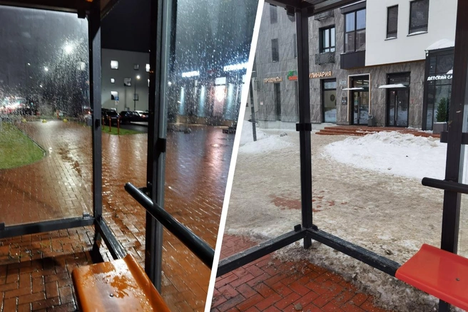 Фотографии сделаны осенью прошлого года и в этом месяце | Источник: Камилла Ефимова / Vk.com