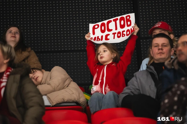 Источник: Евгений Вдовин / 161.RU