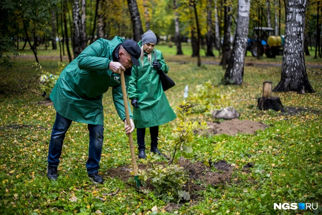 Не везде и не всё можно садить | Источник: Густаво Зырянов / NGS.RU