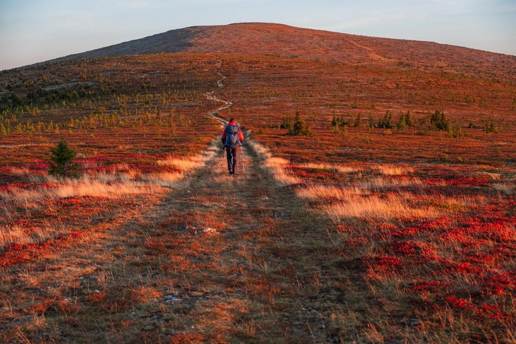 География уединения: 20 самых отдаленных уголков на карте России | Источник: ShishkinStudio/Shutterstock/Fotodom.ru