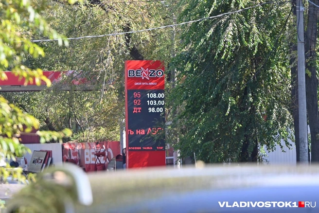Источник: Елена Буйвол / VLADIVOSTOK1.RU