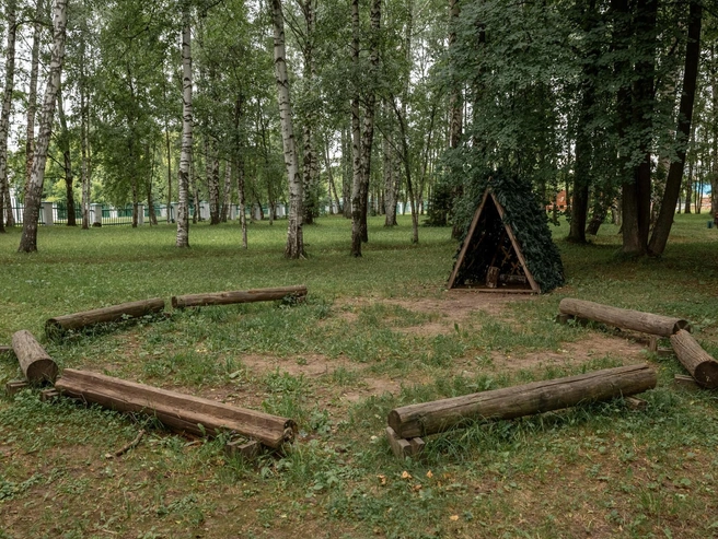 Среди берёз расположены брёвна-лавочки. | Источник: Александр Куренной / 76.RU