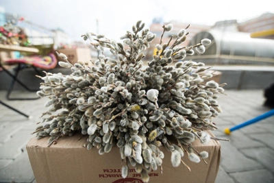 Вербное воскресенье — 2026: дата, смысл и обычаи перед Пасхой