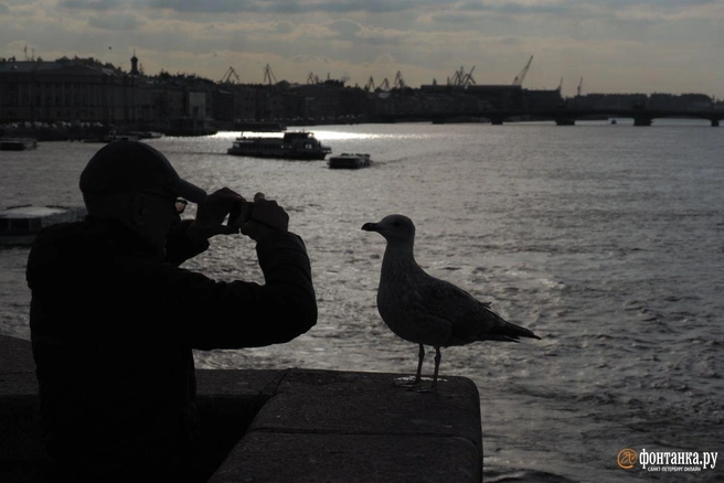 Барический гребень немного расчистит небо в Петербурге | Источник: Михаил Огнев / «Фонтанка.ру»