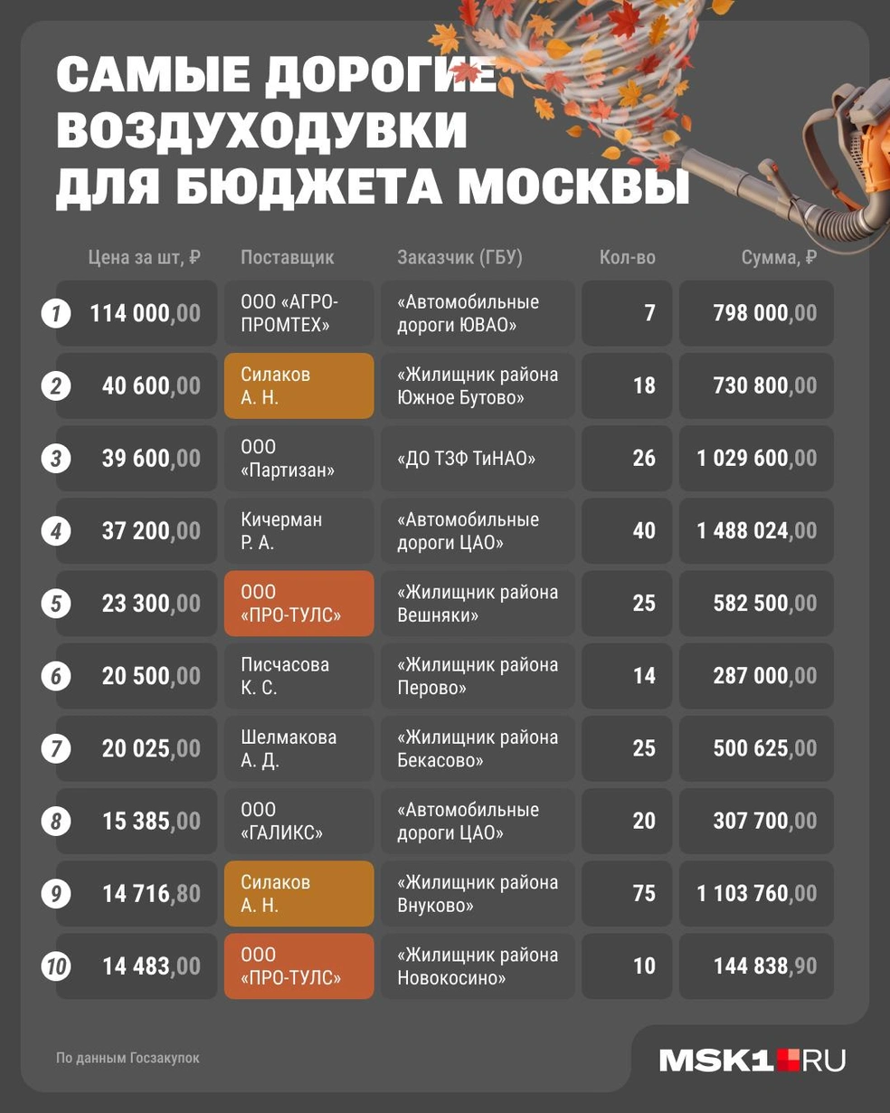 Топ-10 самых дорогих поставок воздуходувок для коммунальщиков и дорожных служб Москвы | Источник: Юрий Скулыбердин / Городские медиа