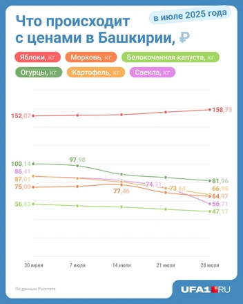 Источник: Юрий Скулыбердин / Городские медиа
