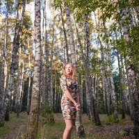 Аватарка Svetlanka