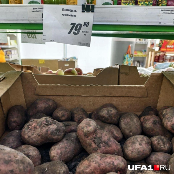 Источник: Булат Салихов / UFA1.RU
