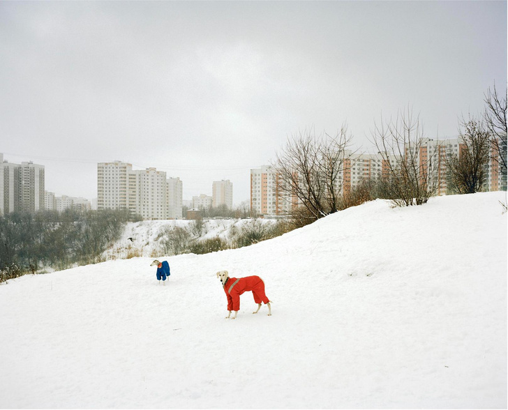 Выставка «Зима, и все опять впервые» в Москве