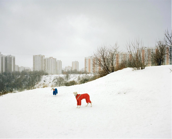 Александр Гронский. Без названия. Серия «Окраина», 2007-2008. Из собрания МАММ. | Источник: пресс-служба выставки