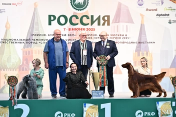 Источник: РКФ
