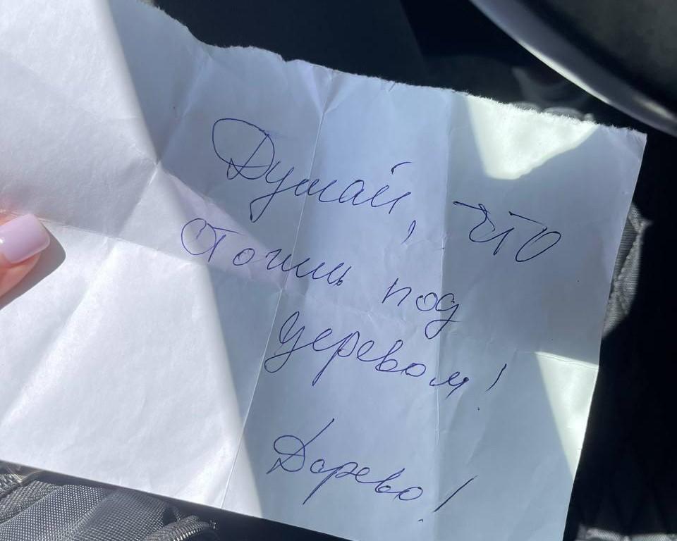 Под Волгоградом владелица конного клуба, где отравили двух лошадей, заявила об угрозах в свой адрес