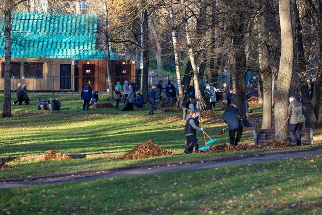 Источник: pskov.ru
