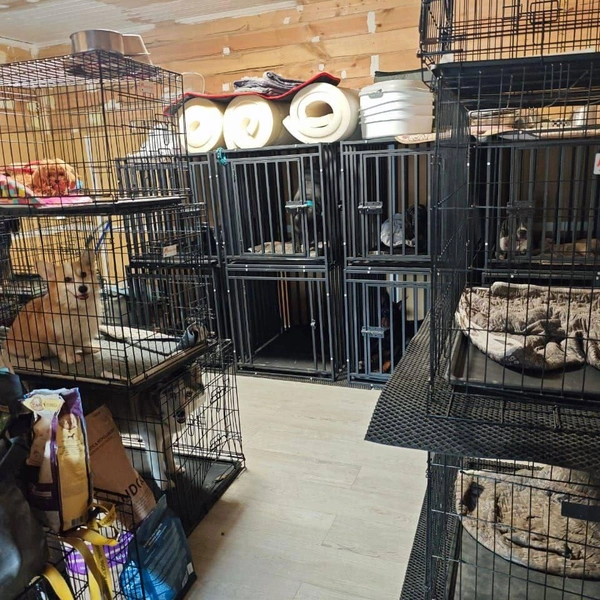 Листайте, если готовы ознакомиться со всеми ужасами | Источник: MONA / Telegram