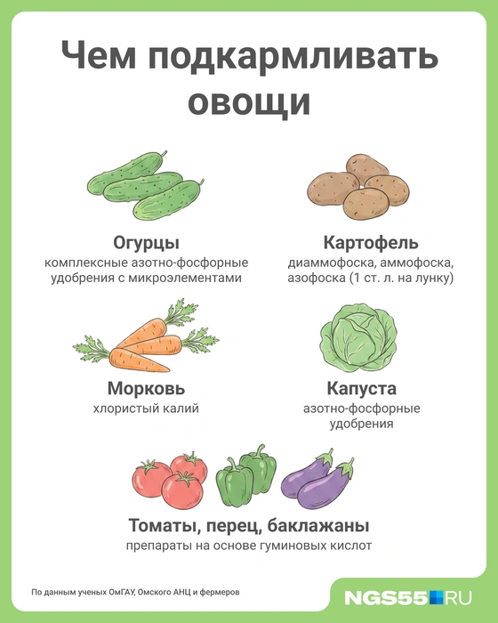 Источник: Мария Романова / Городские медиа