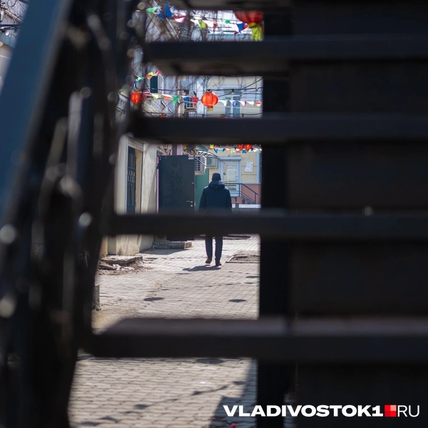 Источник: Елена Буйвол / VLADIVOSTOK1.RU