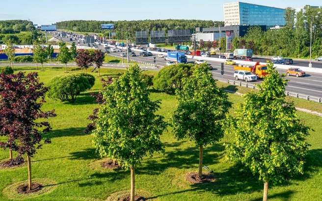 В Москве займутся озеленением исторической части Ленинского проспекта | Источник: sobyanin.ru