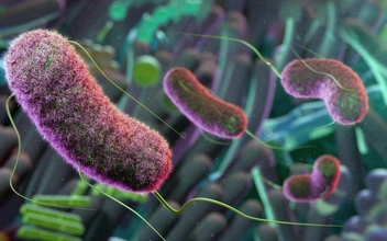 🦠Стало известно, зачем нам водород в кишечнике