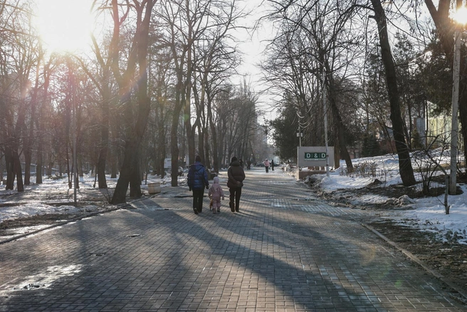 Источник: правительство Ростовской области 