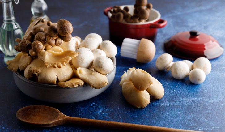 как правильно собирать, хранить и готовить грибы