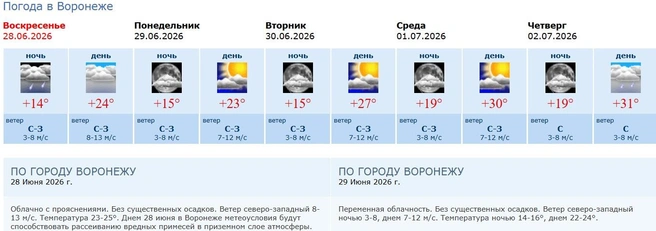 Днём 28 июня дождя в Воронеже синоптики не обещали, но около полудня он влил | Источник: Воронежский Центра гидрометеослужбы / cgms.ru