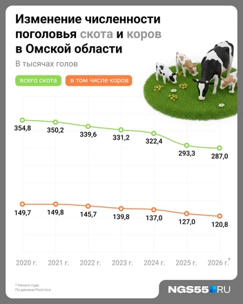 За 5 лет количество скота сократилось примерно на 20%  | Источник: Евгения Бикунова / Городские медиа