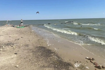 Мазута в Таганрогском заливе не обнаружено