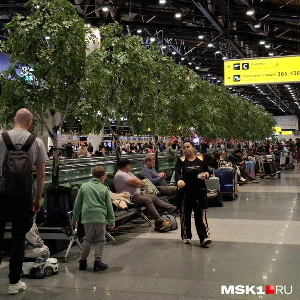Источник: Татьяна Спиридонова / MSK1.RU
