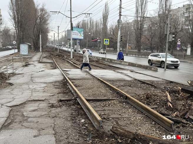 Рельсы остались в местах, где пока сохраняются пешеходные пути | Источник: Сергей Петунин / 164.RU