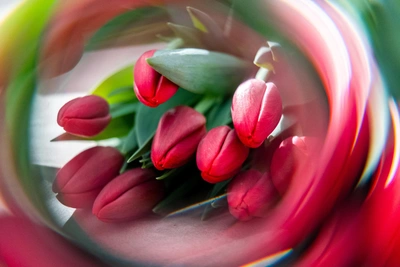 Праздничные мероприятия в Мурманске на 8 Марта