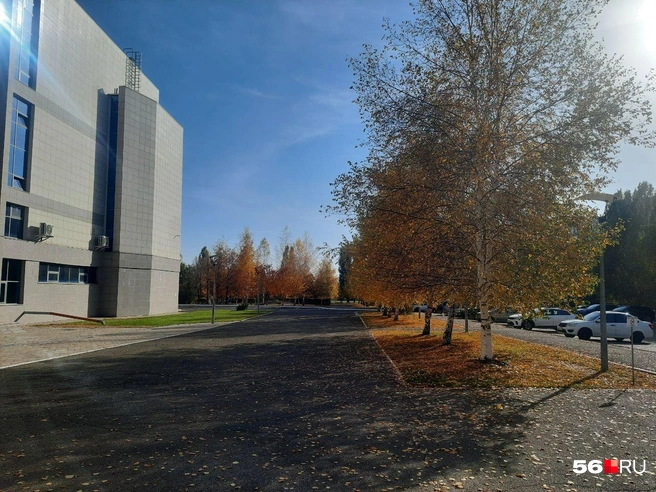 В Оренбургской область снова объявлена опасность атаки БПЛА | Источник: Анастасия Баринова / 56.RU