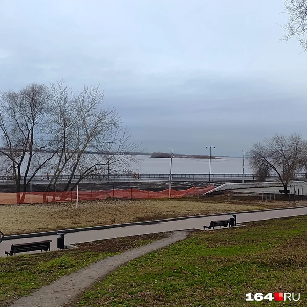 Источник: Сергей Гендин / 164.RU